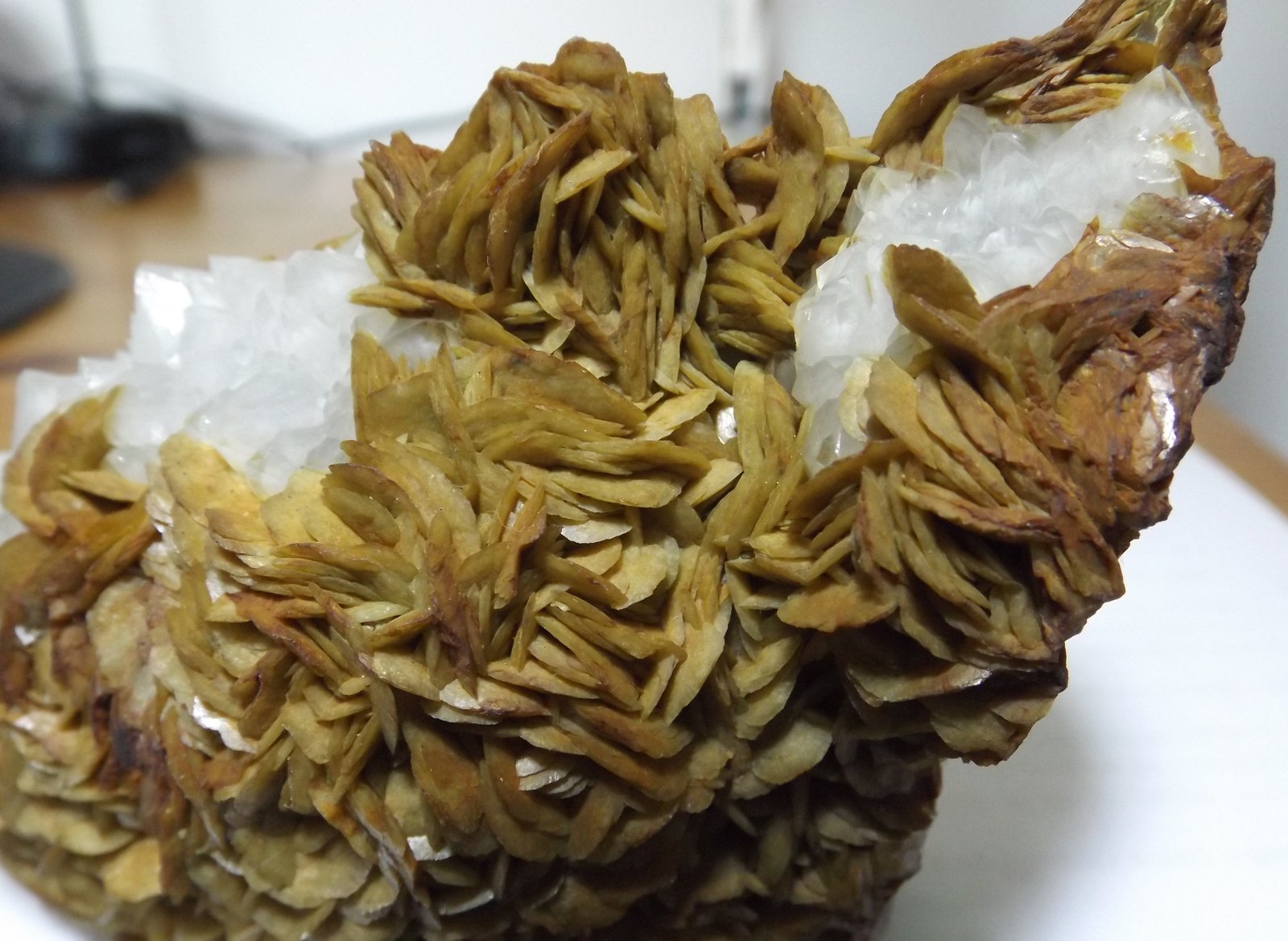 Siderite with Quartz
11cm x 7cm
(Autor: markbeckett)