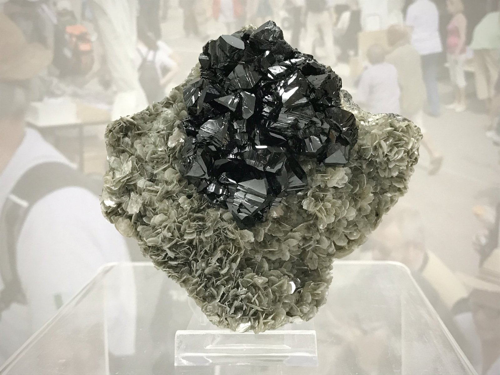 Cassiterite on Muscovite
Specimen size: 8.7 x 8.33.5 cm / main crystal size: 2 x 1.3 cm
(Autor: Jordi Fabre)