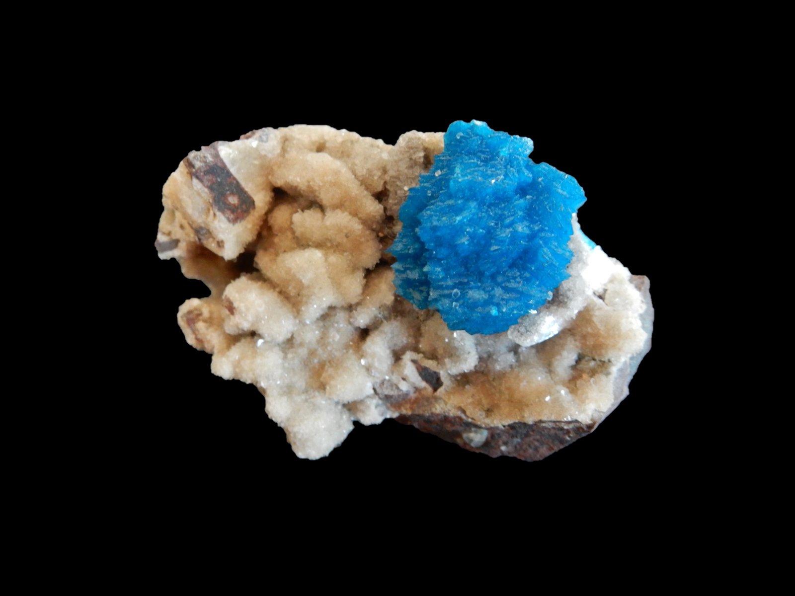 Cavansite on Stilbite-Ca
50x30x40 mm (20x15x15 mm)
(Autor: Dany Mabillard)