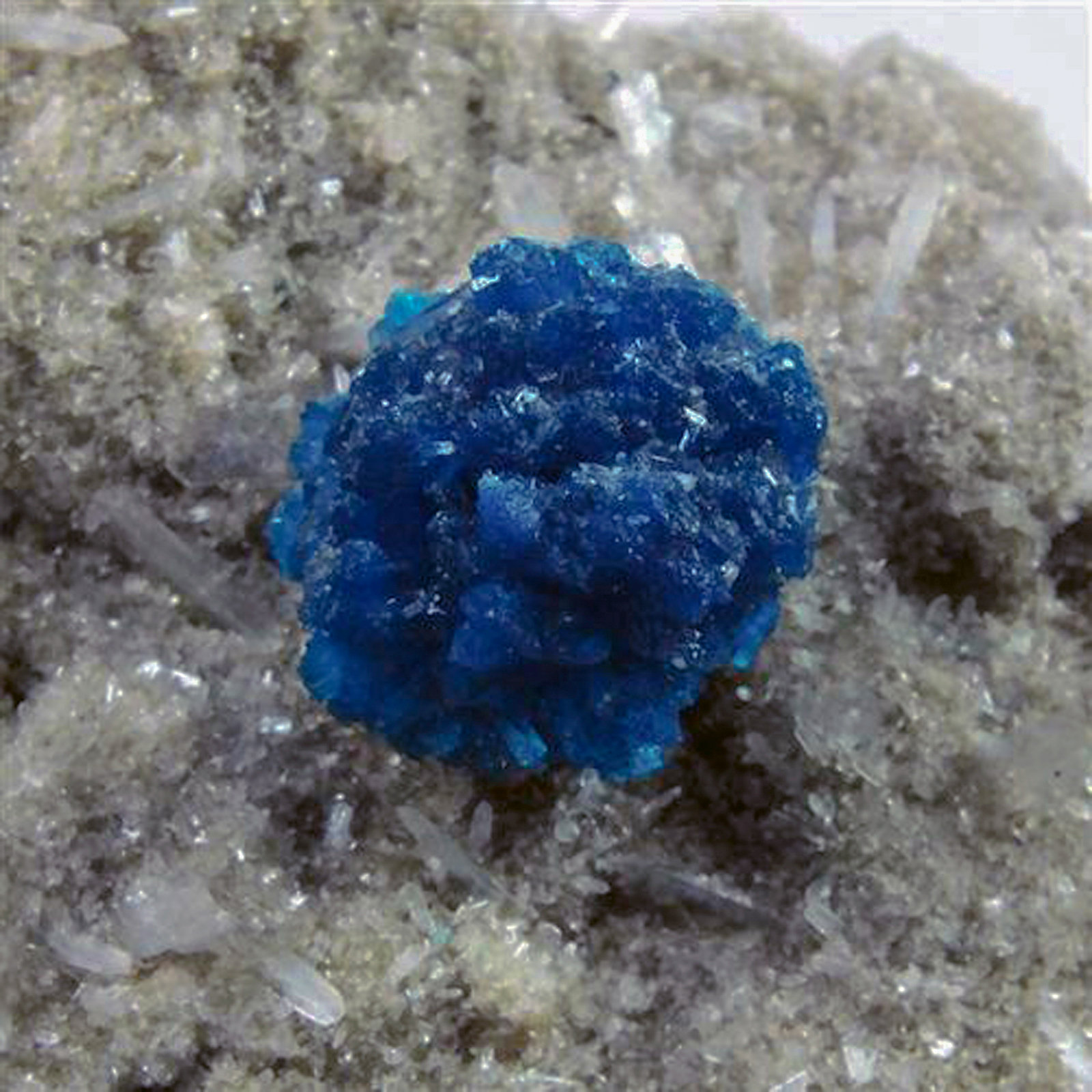 Cavansite on Stilbite
H: 7.5cm x W: 5cm x D: 3.5cm
(Autor: Adrian Pripoae)