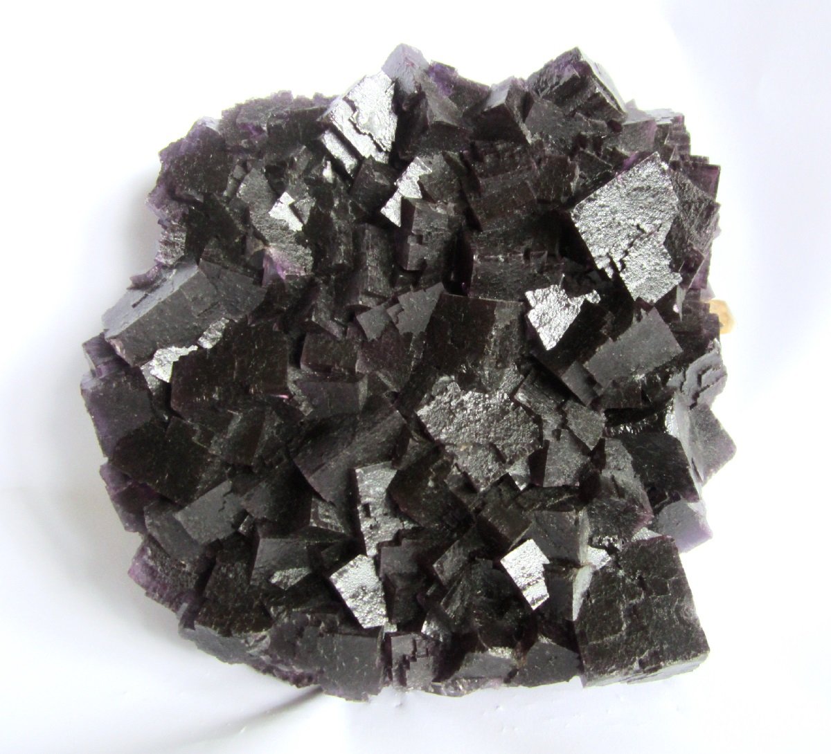 Fluorite, Calcite
Specimen size 18 x 18 cm, largest fluorite cubes 3 cm
(Autor: Tobi)