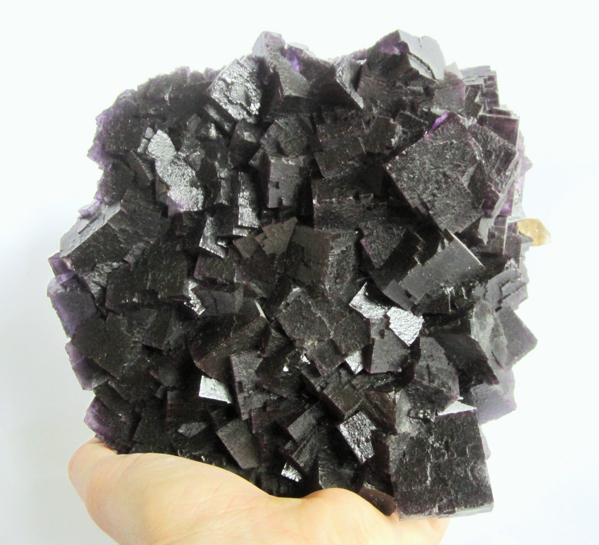 Fluorite, Calcite
Specimen size 18 x 18 cm, largest fluorite cubes 3 cm
(Autor: Tobi)