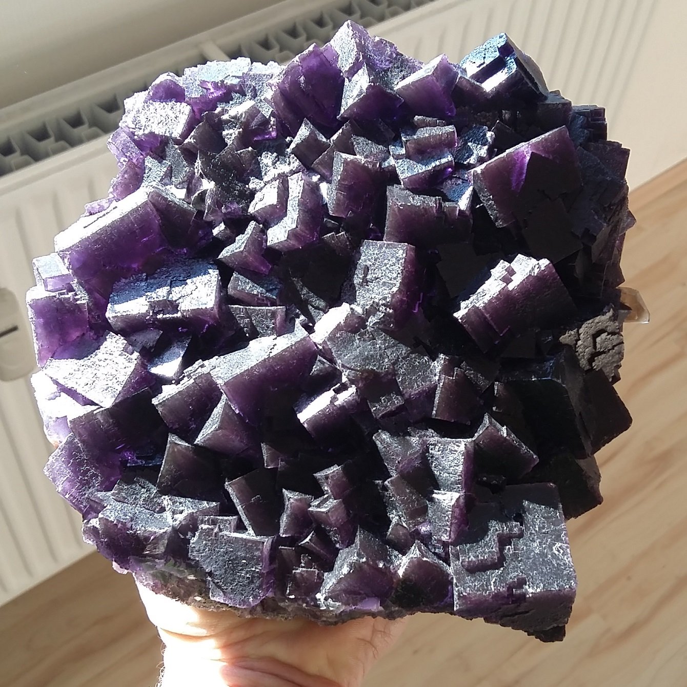 Fluorite, Calcite
Specimen size 18 x 18 cm, largest fluorite cubes 3 cm
(Autor: Tobi)