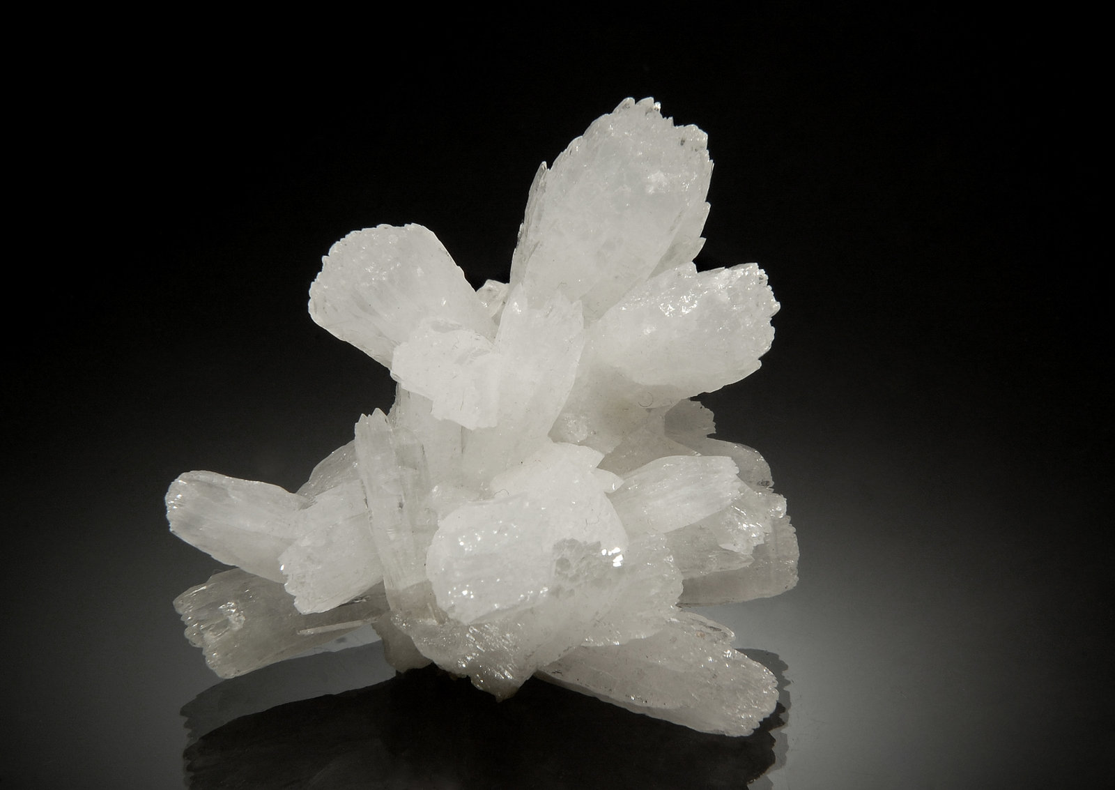 Celestine
6.0 x 6.0 cm
(Autor: Michael Shaw)