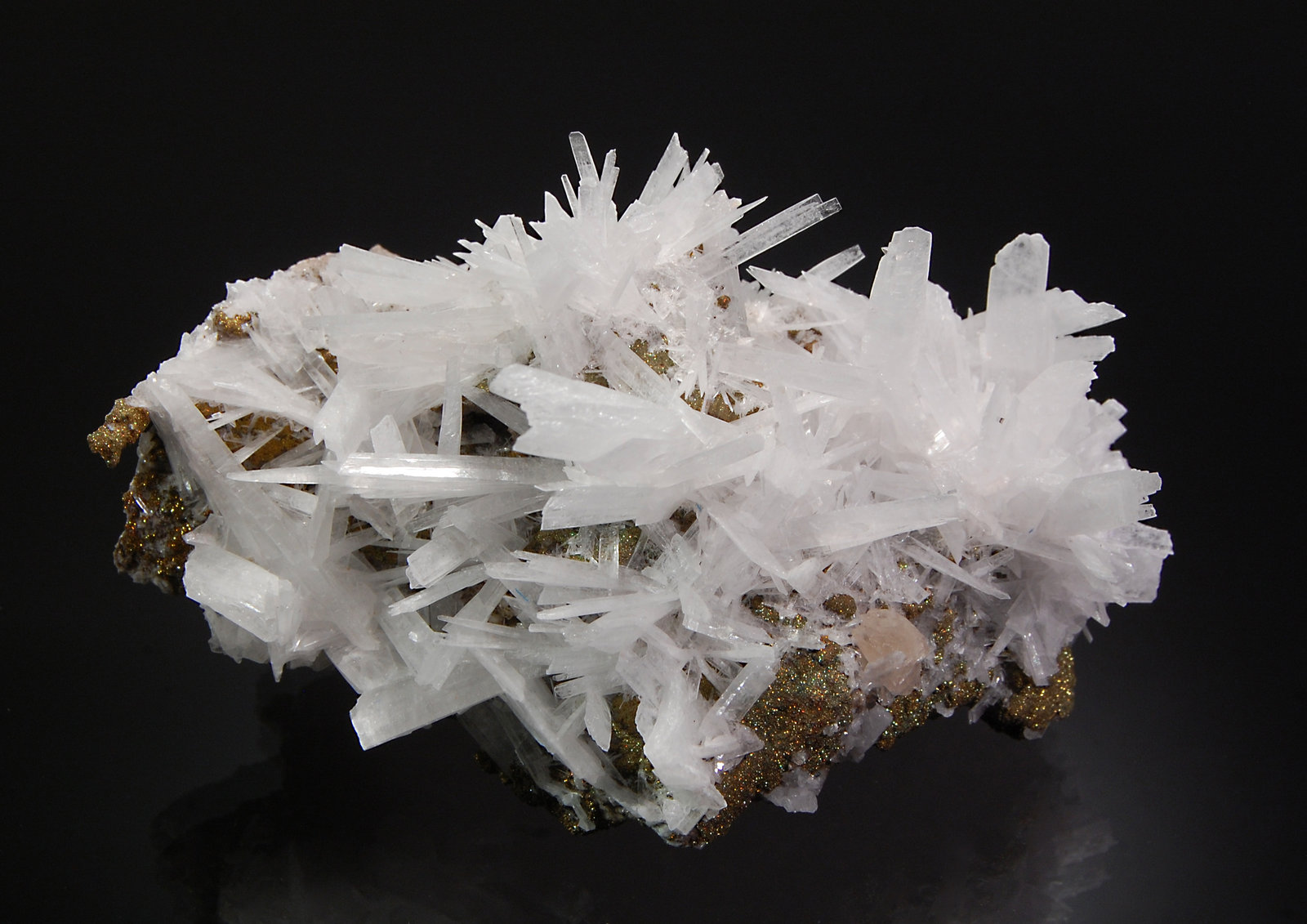 Celestine
5.5 x 6.3 x 10.5 cm
(Autor: Michael Shaw)