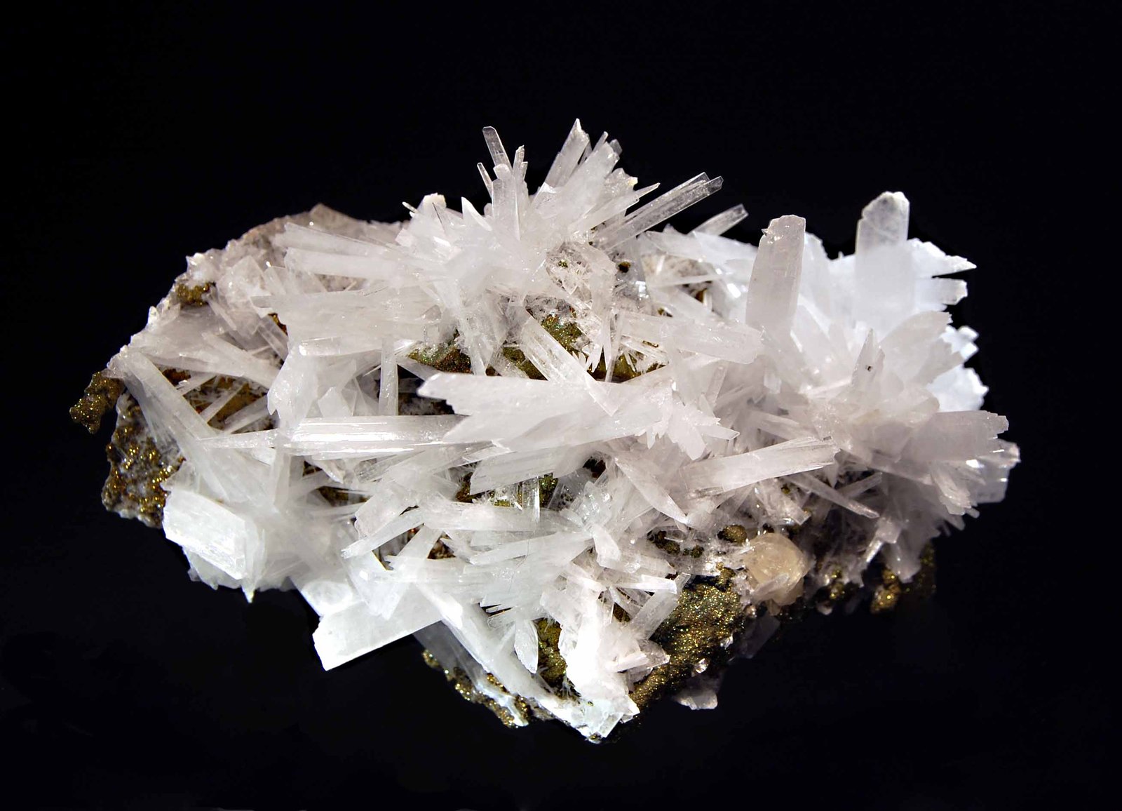 Celestine
6.3 x 10.5 cm
(Autor: Michael Shaw)