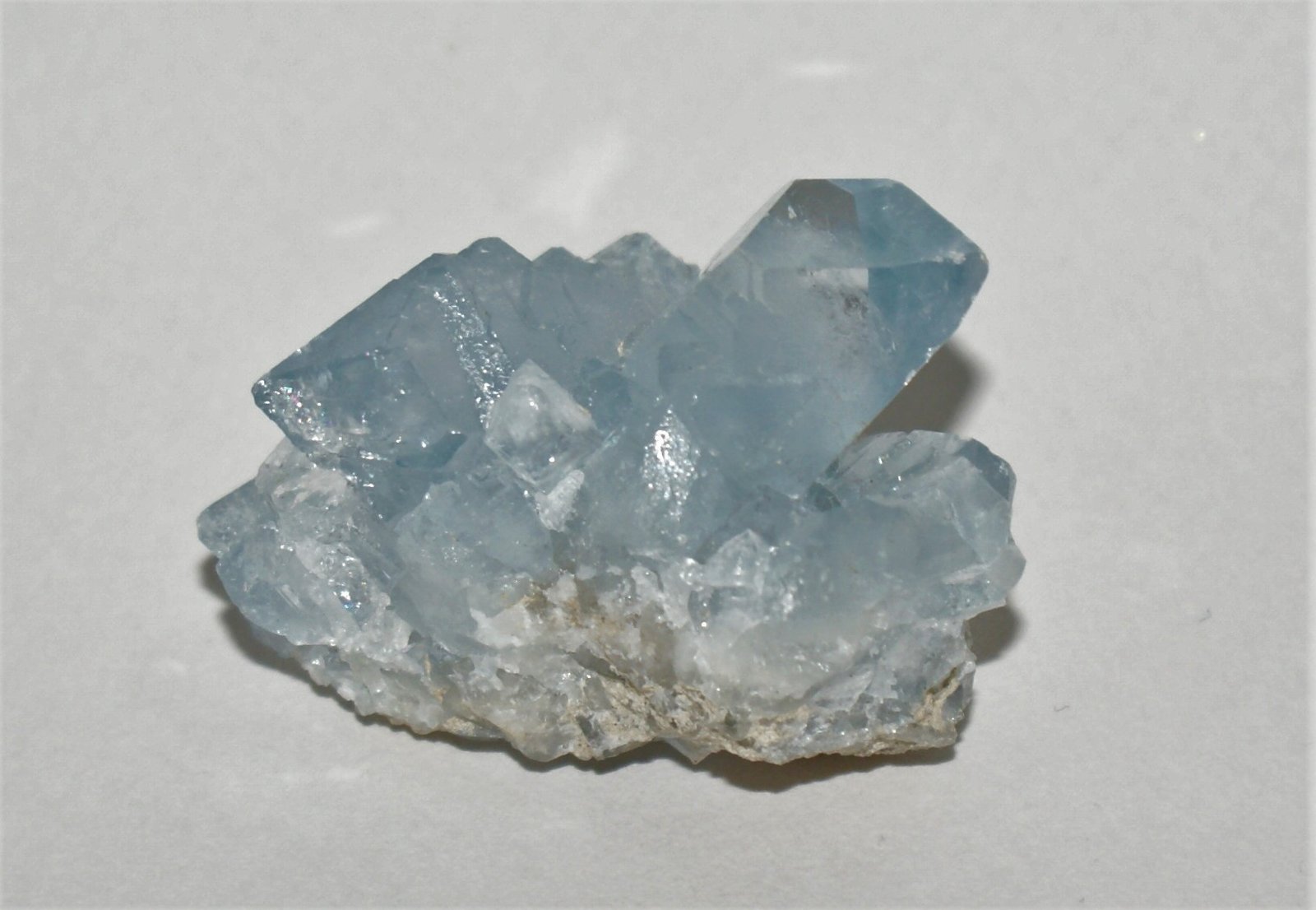 Celestine
5cm
(Autor: Philippe Durand)