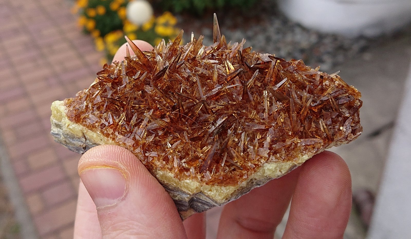 Celestine
8,5 x 5,5 x 5 cm
(Autor: sauer11)