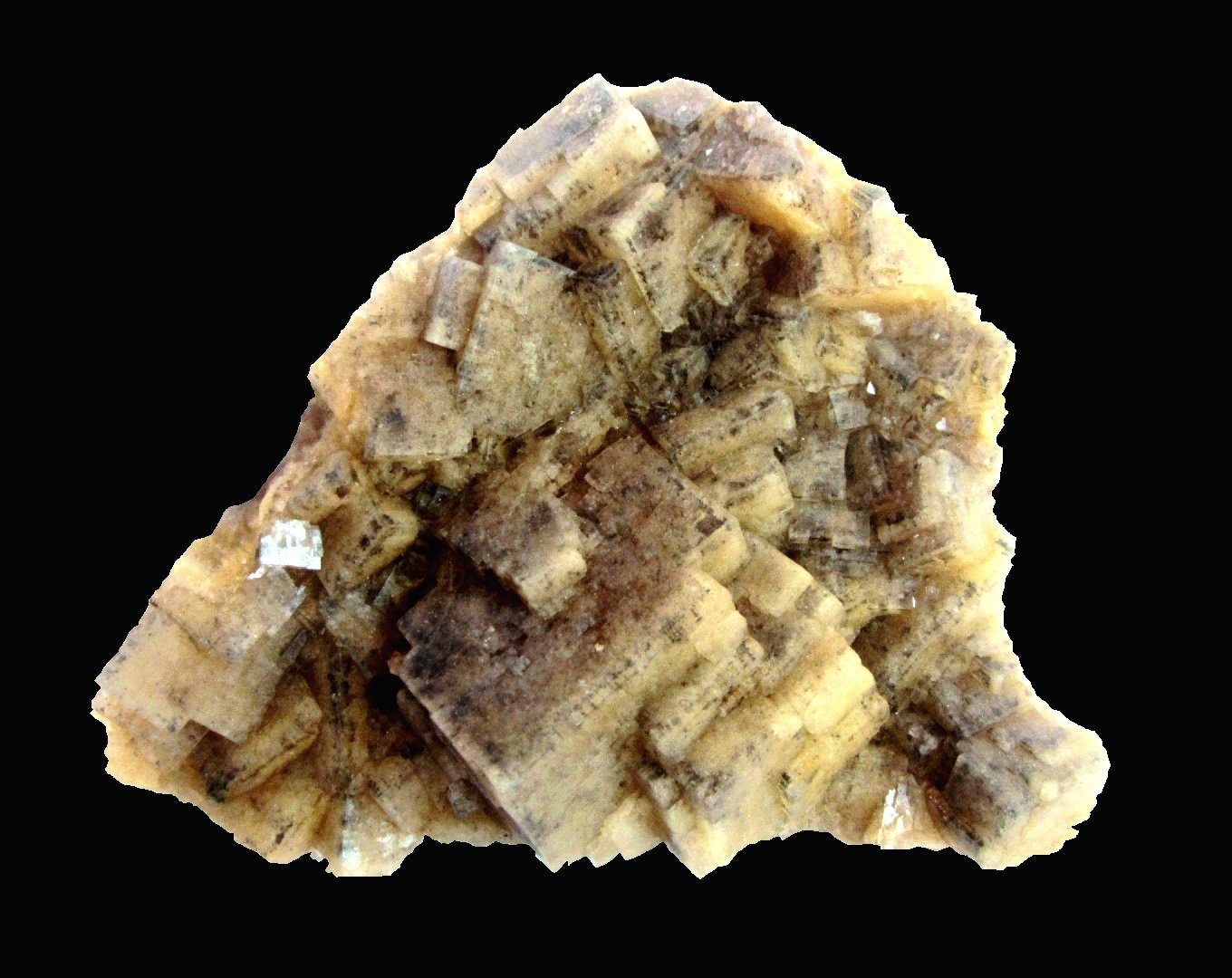 Fluorite
Specimen size 17 x 14 cm, largest crystal 5,5 cm
(Autor: Tobi)