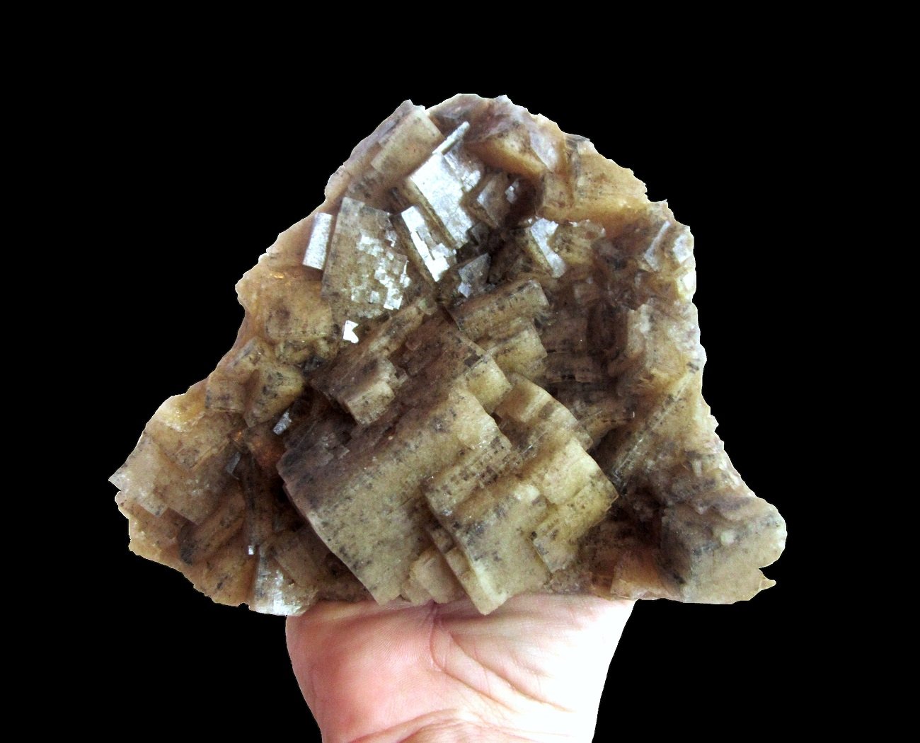 Fluorite
Specimen size 17 x 14 cm, largest crystal 5,5 cm
(Autor: Tobi)