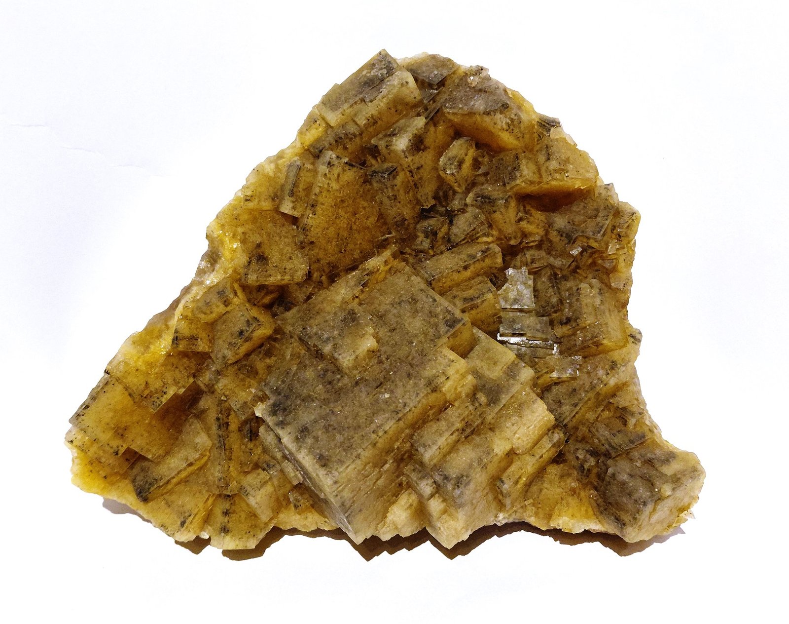 Fluorite
Specimen size 17 x 14 cm, largest crystal 5,5 cm
(Autor: Tobi)