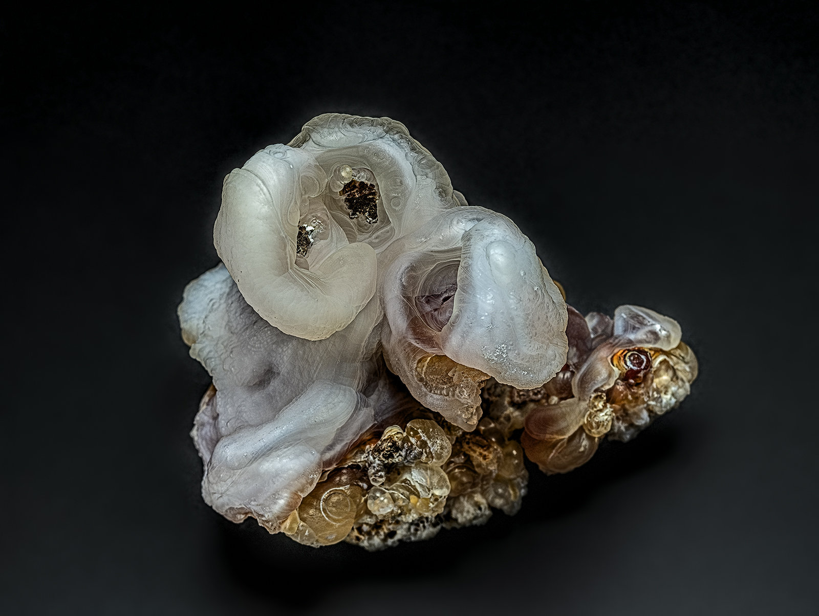 Quartz (variety chalcedony)
7.2 x 5.1 cm
(Autor: am mizunaka)