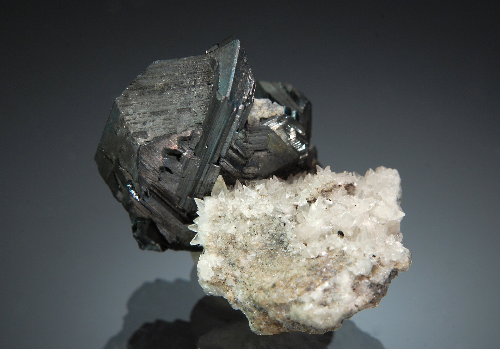 Chalcocite, calcite
2.2 x 2.8 cm
(Autor: Michael Shaw)