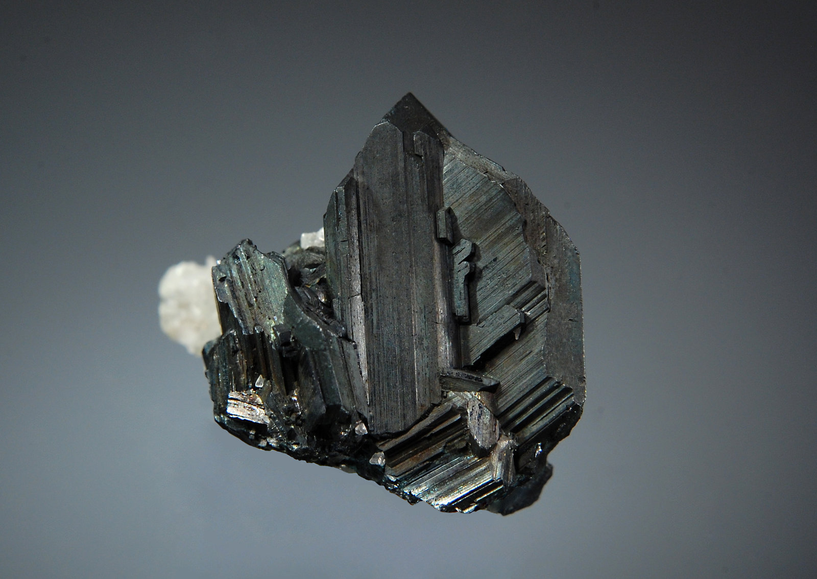 Chalcocite
2.2 x 2.8 cm
(Autor: Michael Shaw)