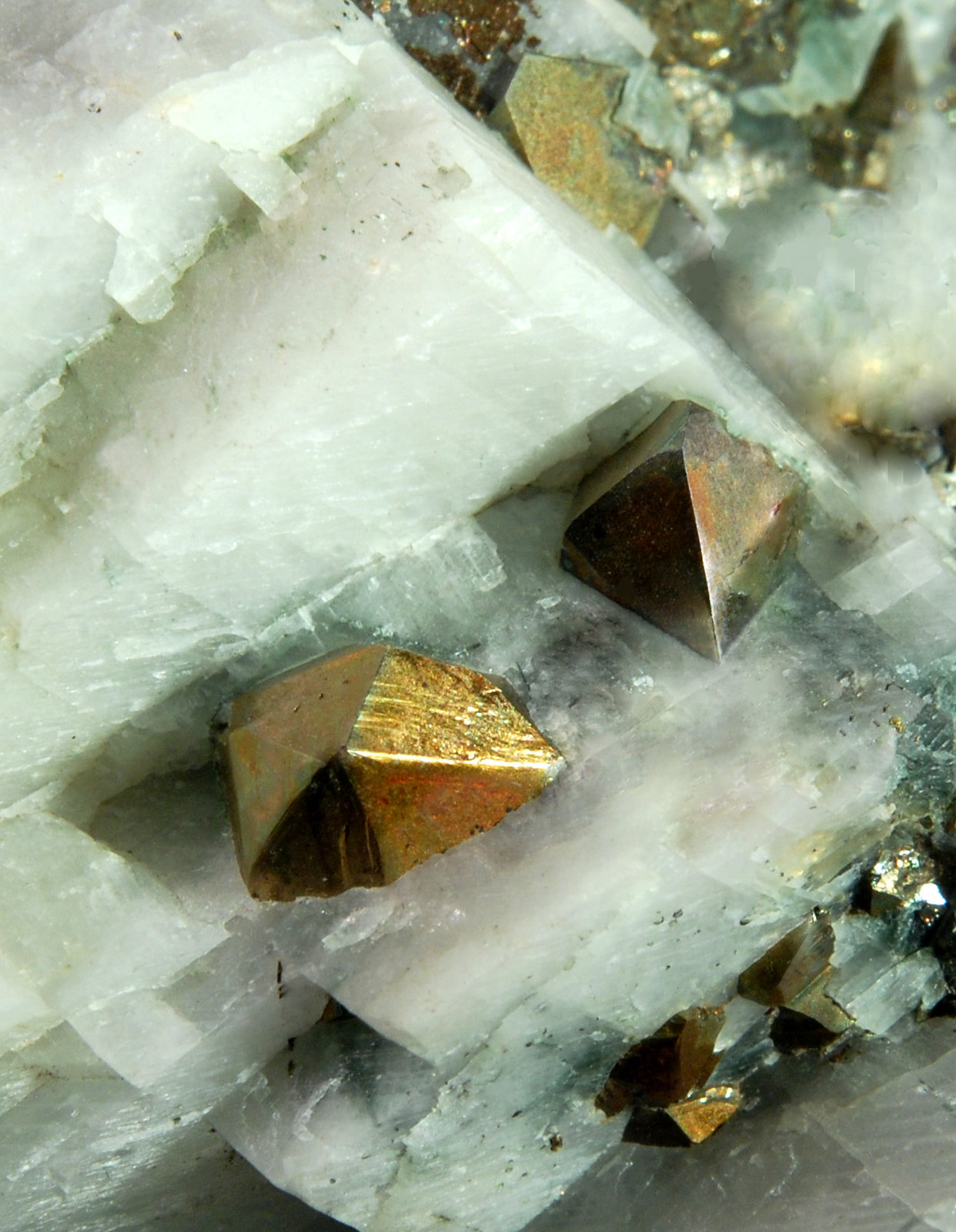 Chalcopyrite
6.0 cm x 8.0 cm
(Autor: Michael Shaw)