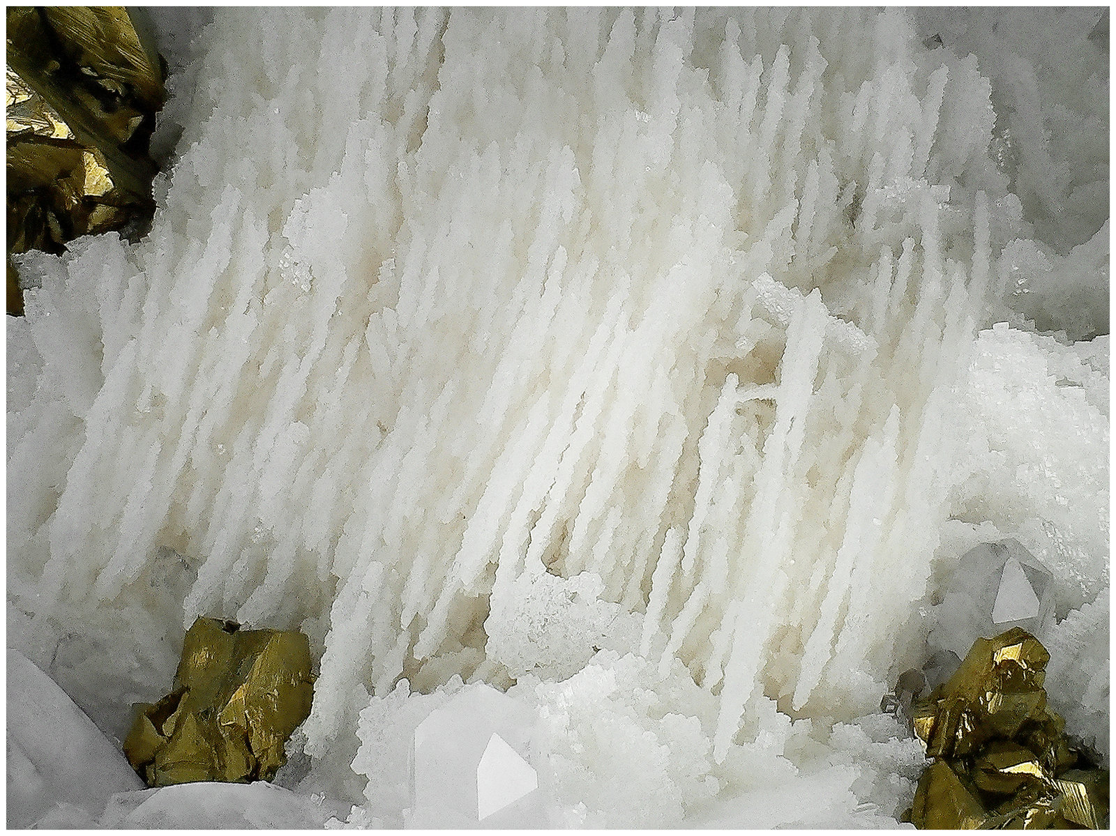 Chalcopyrite, Quartz, Calcite
16 cm x 15 cm x 7 cm
(Autor: silvia)