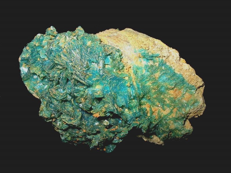 Chalcanthite
8 x 5,5 cm
(Autor: Andreas Gerstenberg)