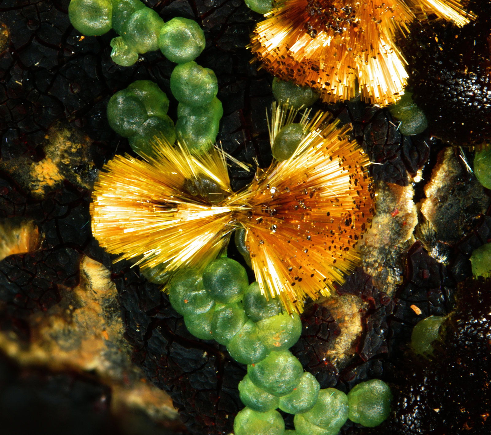 Chalcosiderite and Cacoxenite
FOV 3 mm
(Autor: Firmo Espinar)