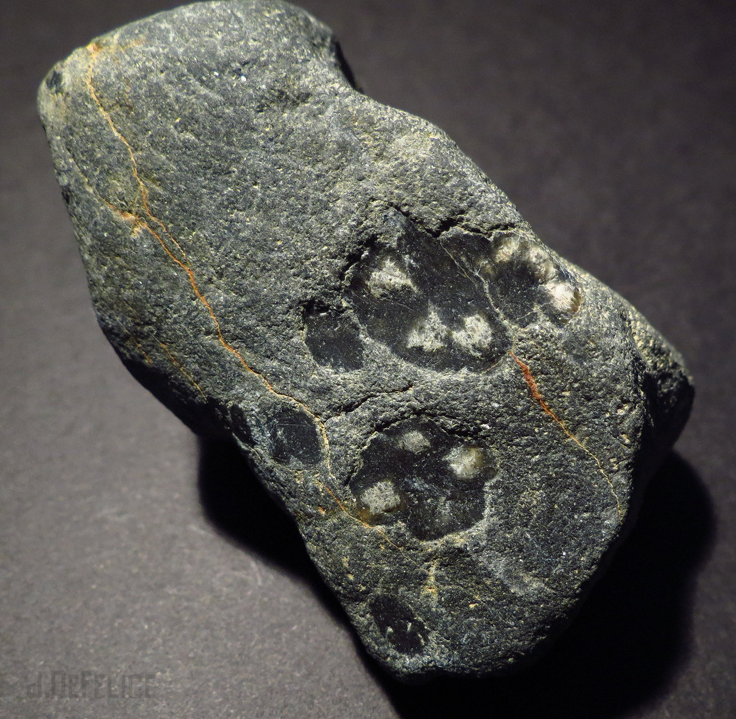 Andalusite var. chiastolite
6.5cm
(Autor: NellsRocks)