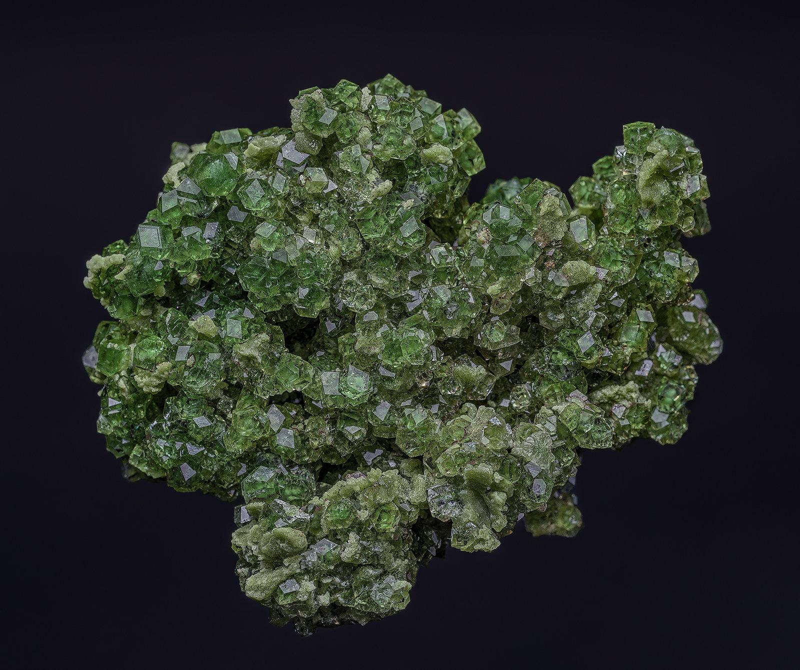 Grossular, Prehnite
4.7 x 3.7 cm
(Autor: am mizunaka)