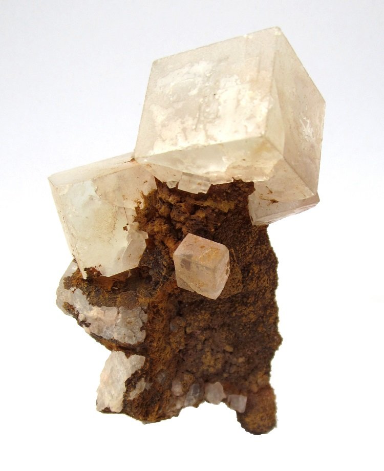 Fluorite
Specimen size 8 cm, largest fluorite 2,5 cm
(Autor: Tobi)