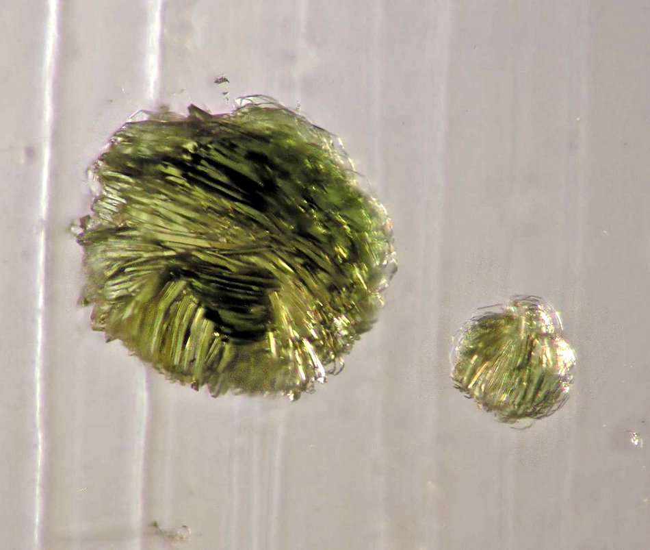 Clinochlore in quartz
F.O.V. a few mm
(Autor: Pierre Joubert)
