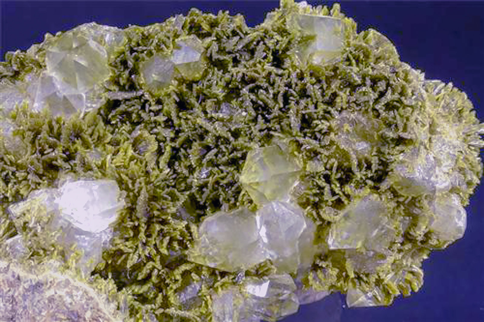 Clinozoisite 
H:9cm x W:4.5cm x D:4cm
(Autor: Adrian Pripoae)