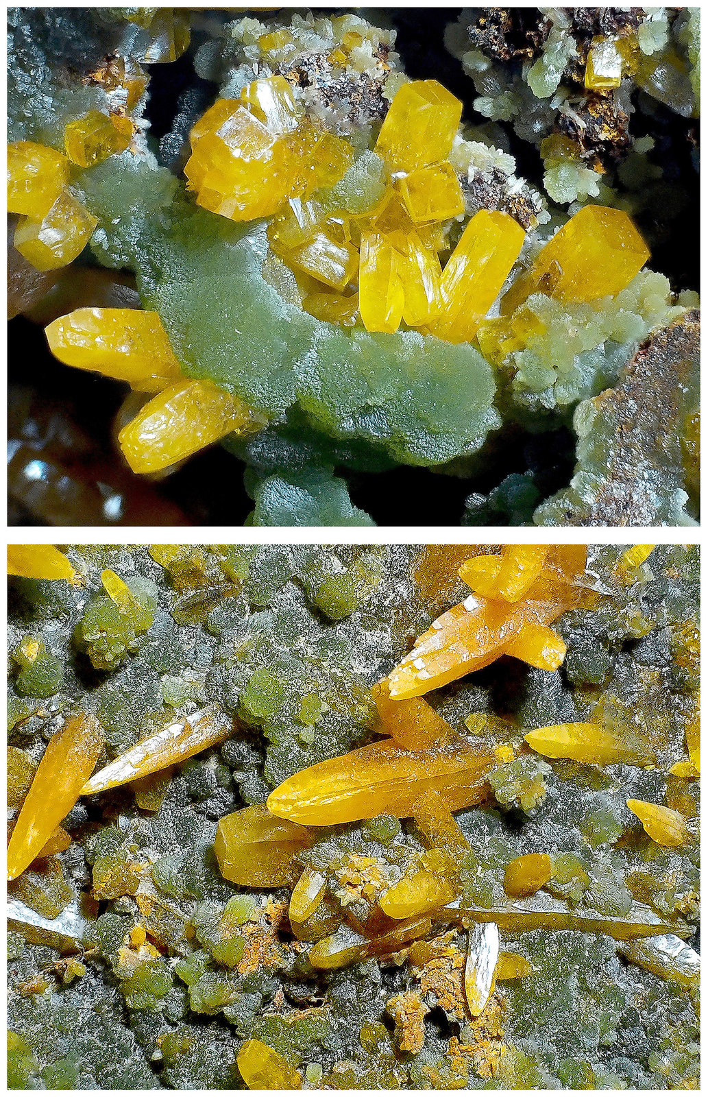 Wulfenite with Mimetite
15 cm x 9 cm x 8 cm
(Autor: silvia)