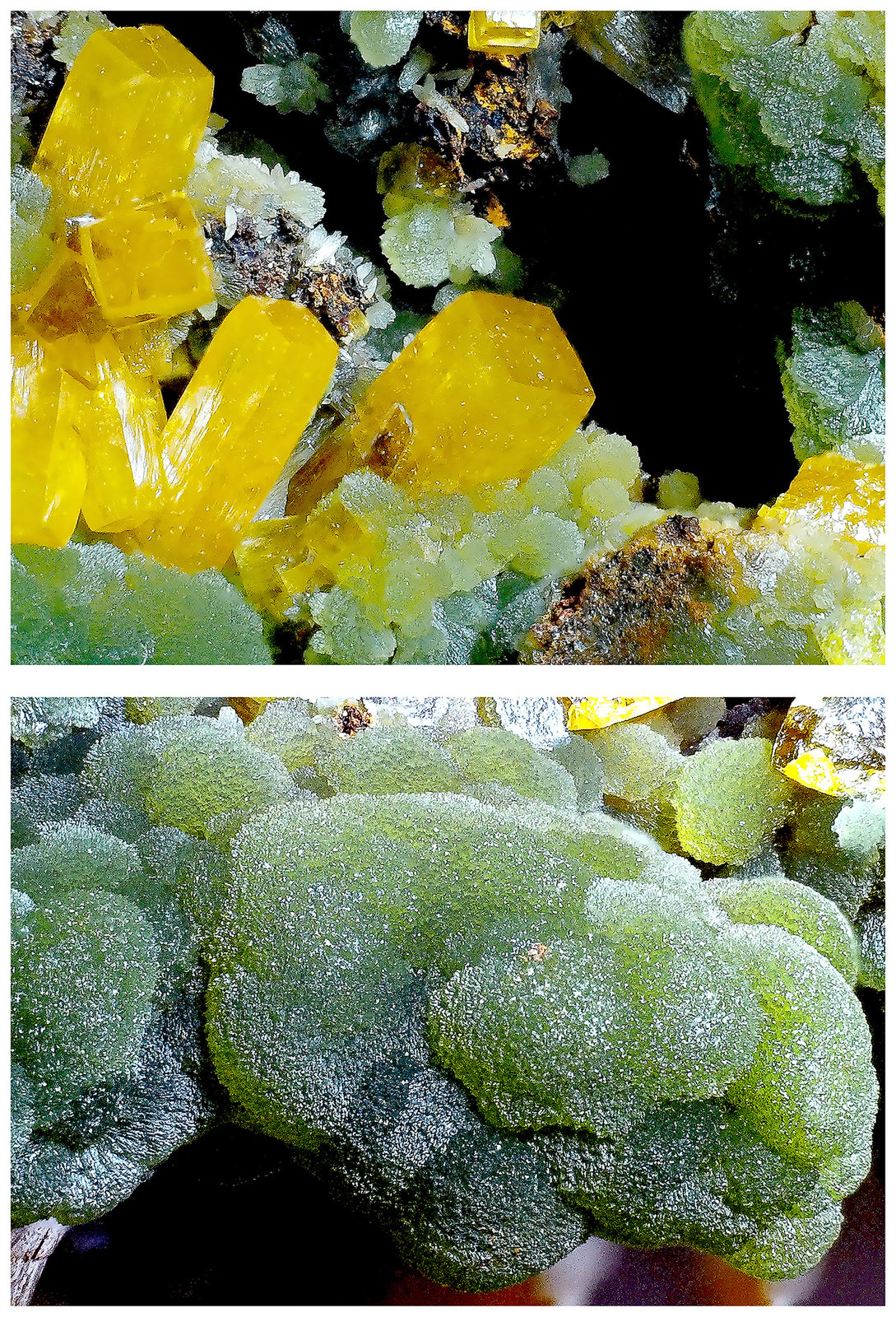 Wulfenite with Mimetite
15 cm x 9 cm x 8 cm
(Autor: silvia)