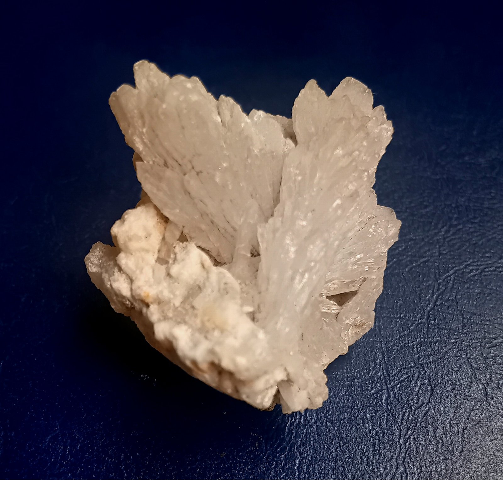 Celestine
4x3 cm
(Autor: mineralenzo)