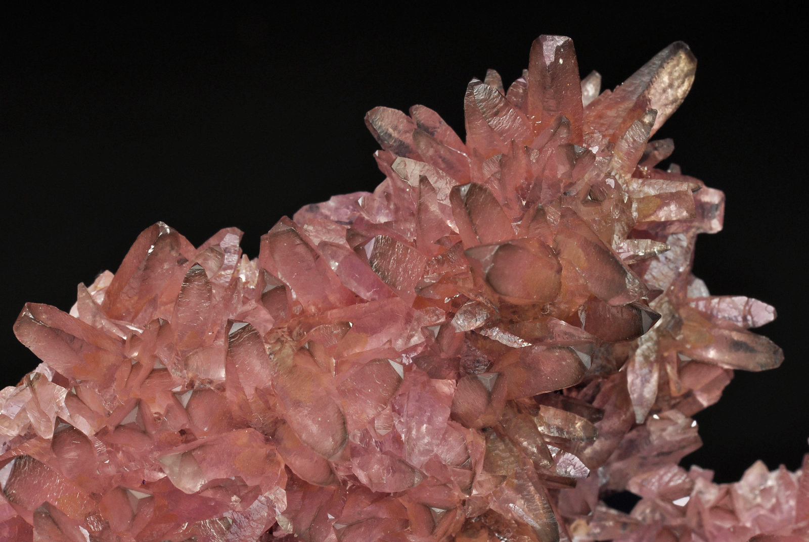 Calcite (variety Co-rich Calcite)
main crystal size: 1.1 × 0.4 cm
(Autor: Jordi Fabre)