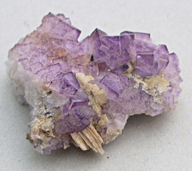Fluorite
8 cm
(Autor: colin robinson)