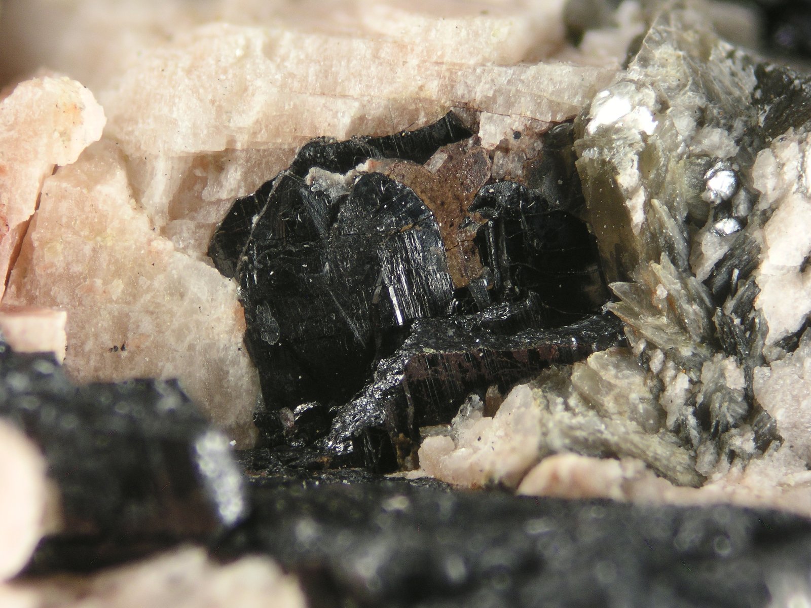 Columbite-Fe
(Autor: Cesar M. Salvan)