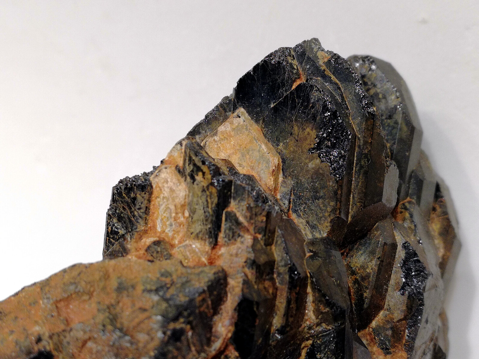 Samarskite-(Y) and columbite-(Fe)
Berere Pegmatite Field, Bekapaika Commune, Tsaratanàna District, Betsiboka Region, Madagascar
9 x 7 cm
(Autor: Knut Eldjarn)