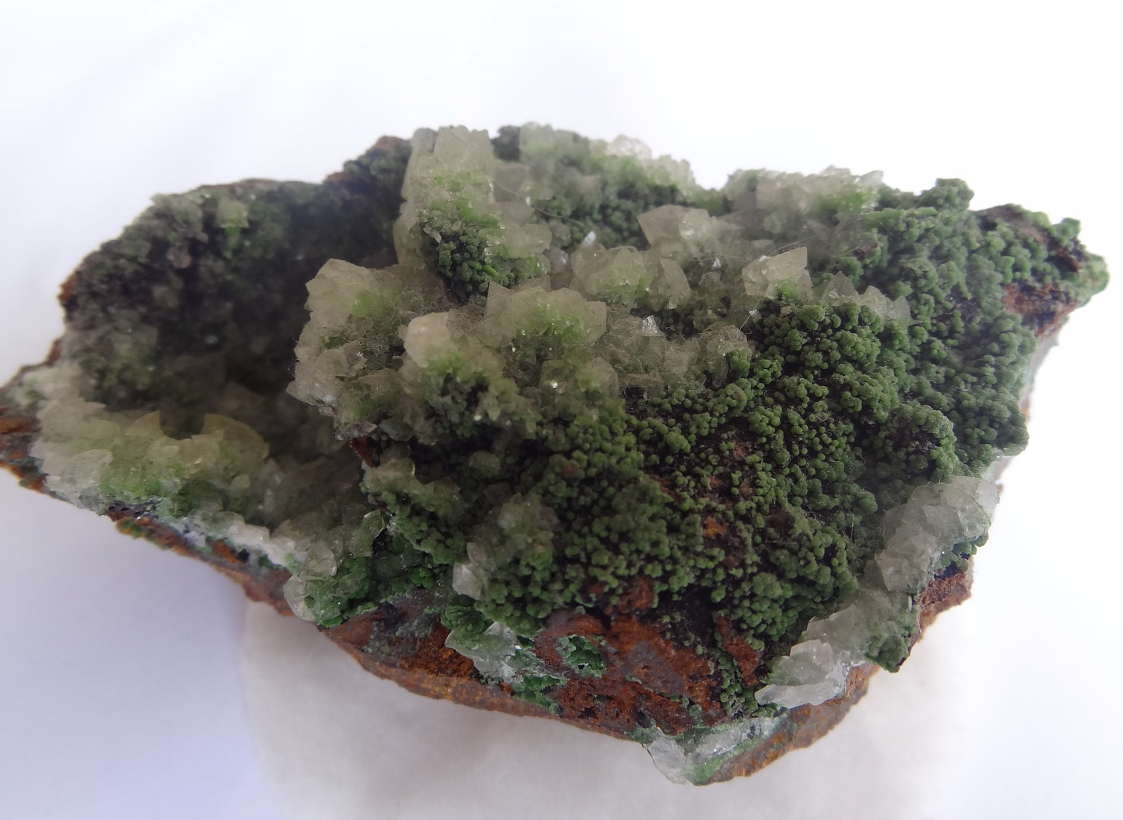 Calcite on Conicalcite
8x4x2,5cm
(Autor: Dave van Bladel)