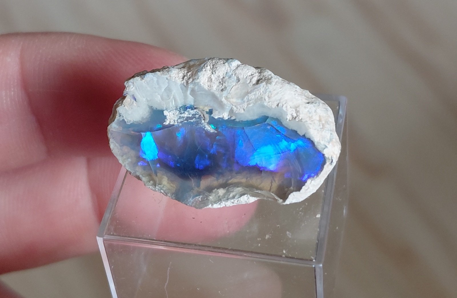 Opal
Specimen size 3 cm
(Autor: Tobi)