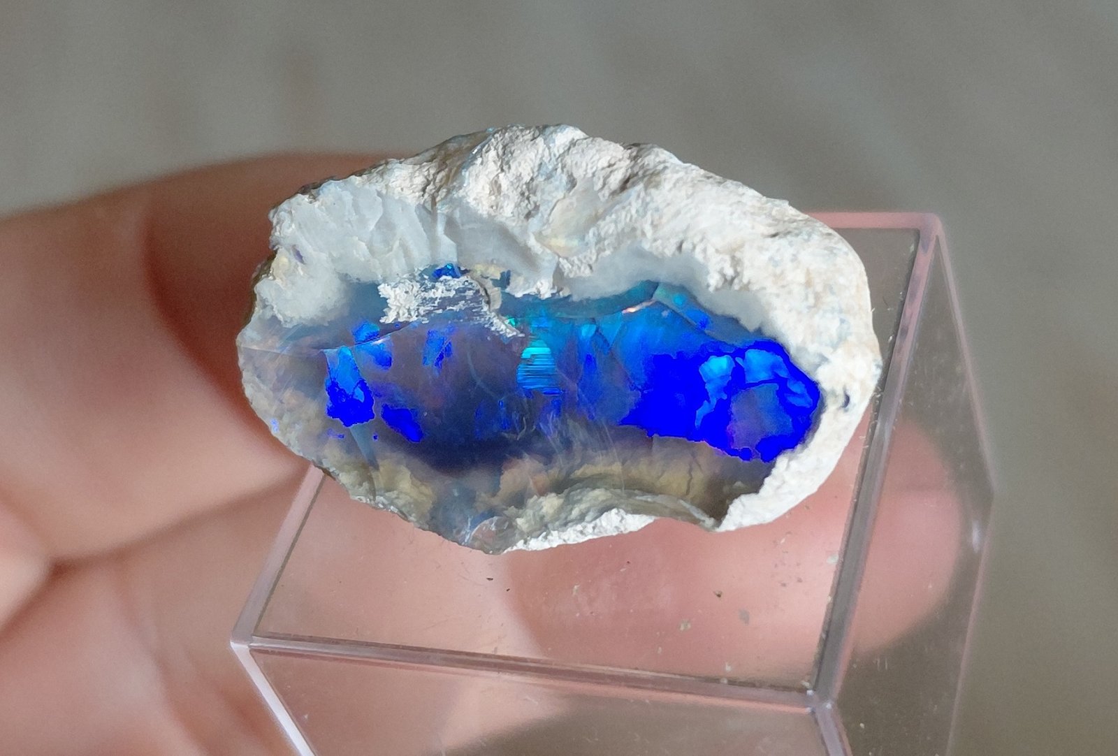 Opal
Specimen size 3 cm
(Autor: Tobi)