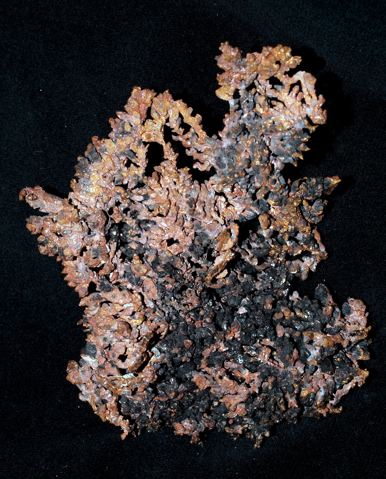 Copper
10x8x2 cm
(Autor: Joseph DOliveira)