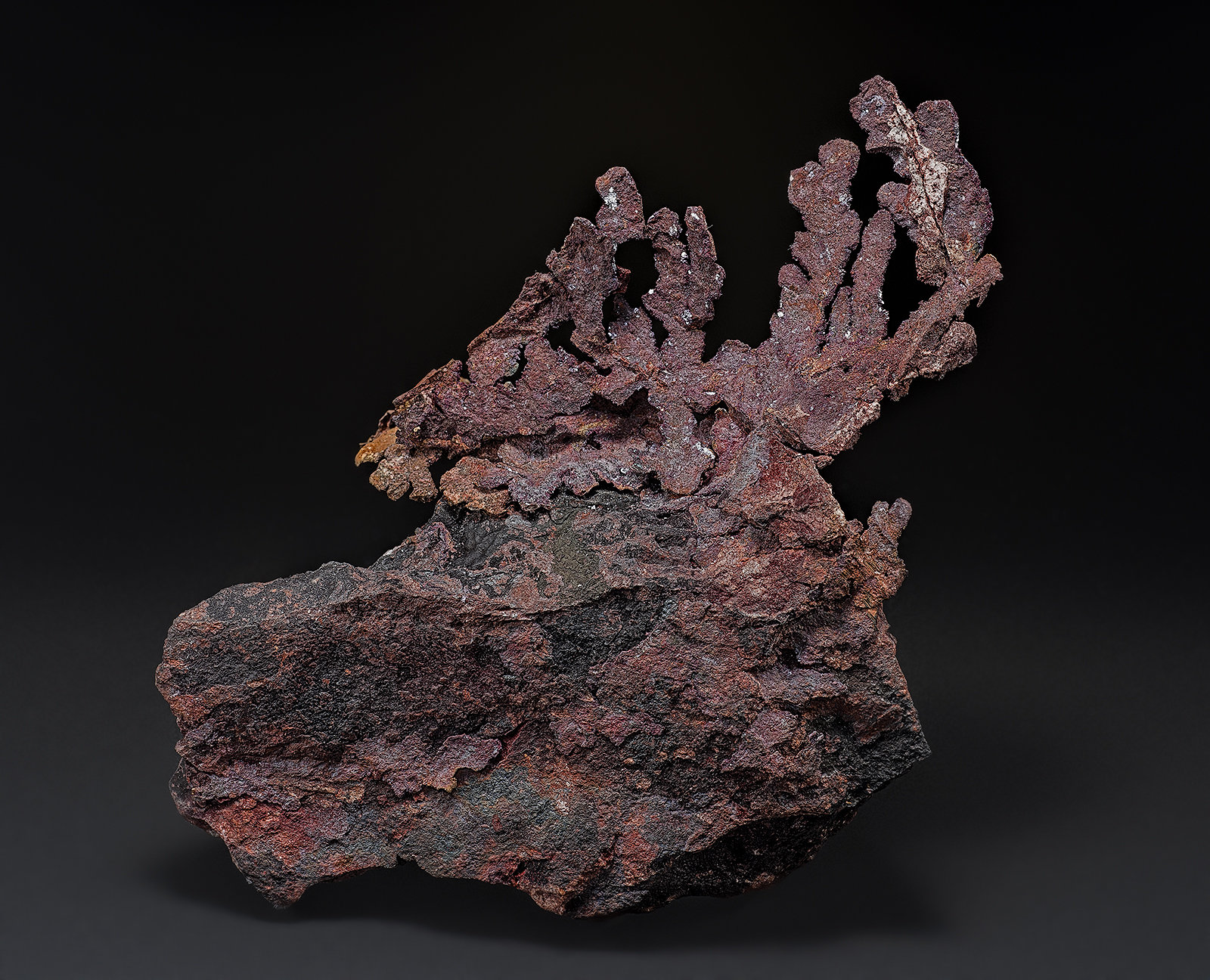 Copper
9.7 x 12.0 cm
(Autor: am mizunaka)