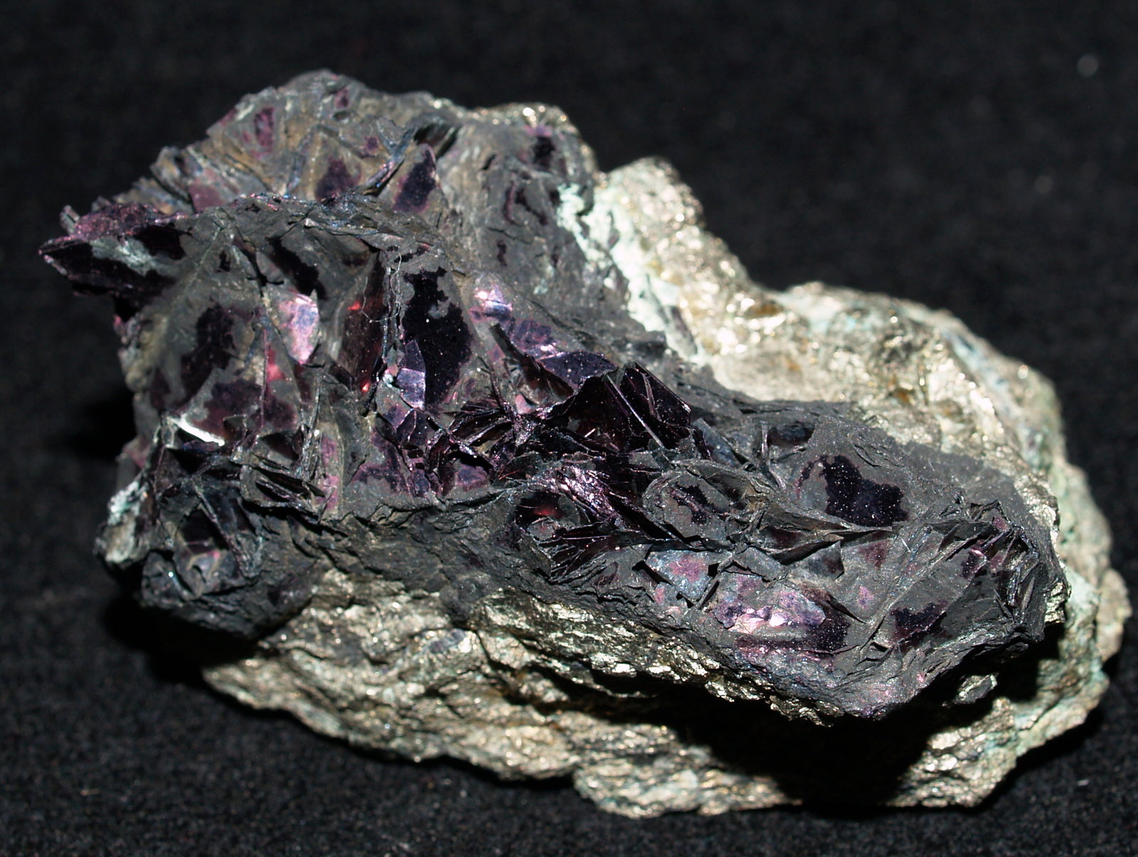 Covellite on Pyrite
5x3x2.5 cm
(Autor: Joseph DOliveira)