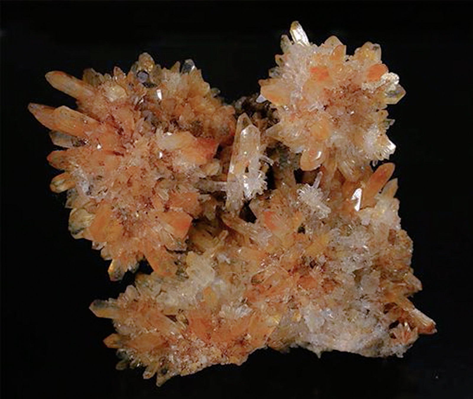 Creedite & Fluorite
H:10.5cm x W:9.5cm x D:6cm
(Autor: Adrian Pripoae)