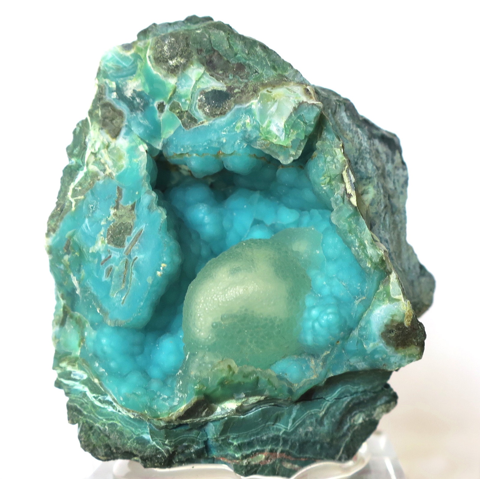 Chrysocolla, Quartz
6.0 x 5.0 x 3.0
(Autor: JoséMiguel)