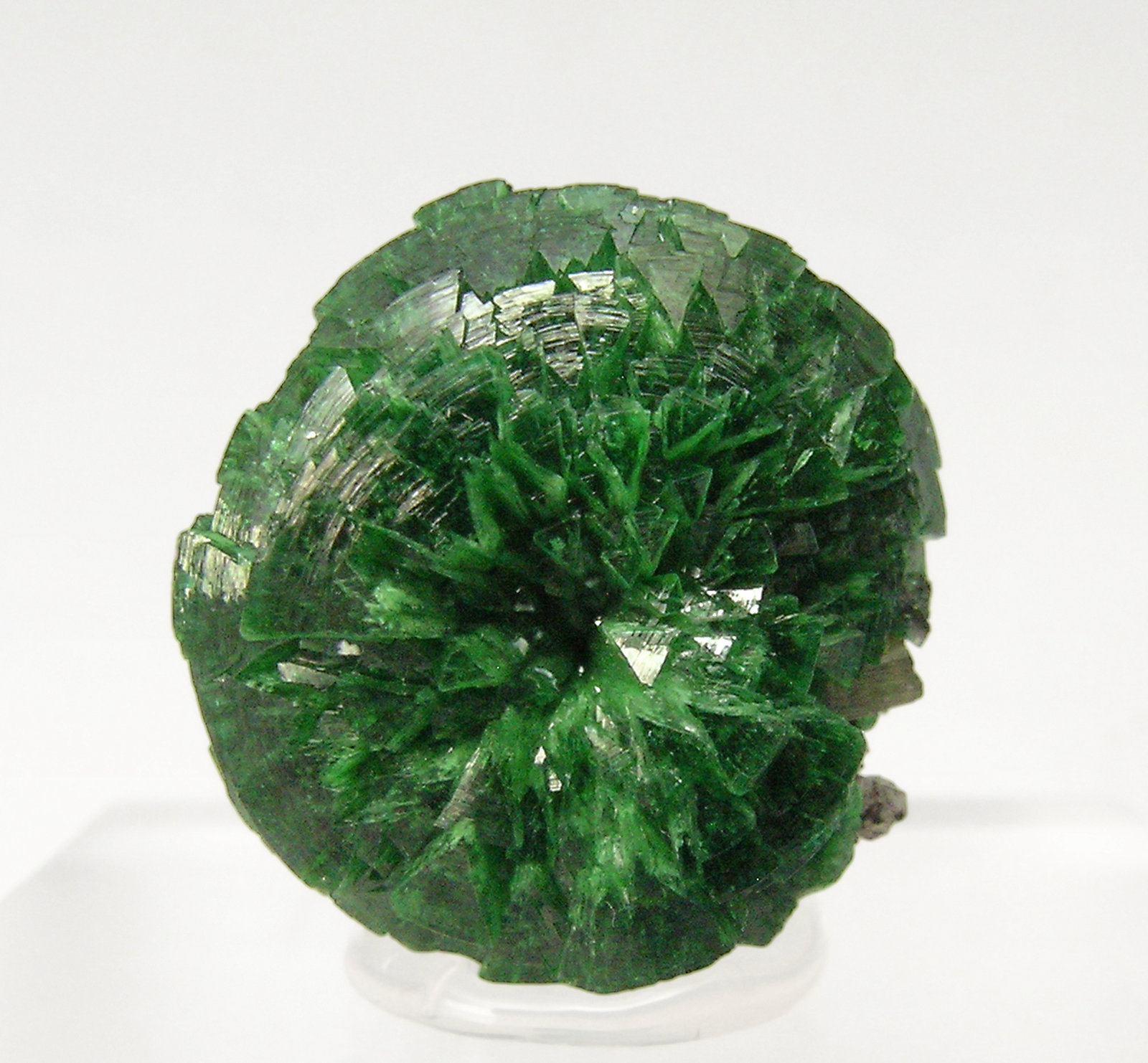 Adamite (variety cuprian adamite)
Specimen size: 1.5 × 1.7 × 1.3 cm
(Autor: Jordi Fabre)