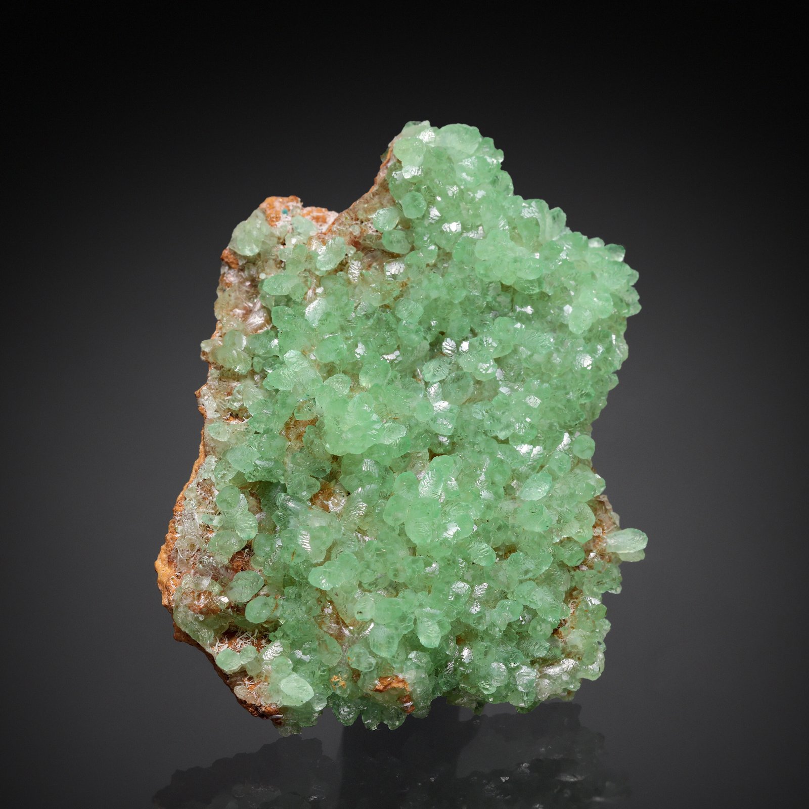 Smithsonite (variety Cu-bearing)
4.7 x 3.7 cm
(Autor: Antonio Nazario)