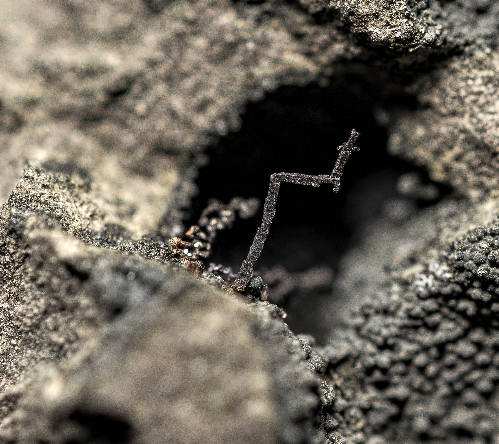 Copper, Clinochlore
3.1 x 2.2 cm
(Autor: am mizunaka)