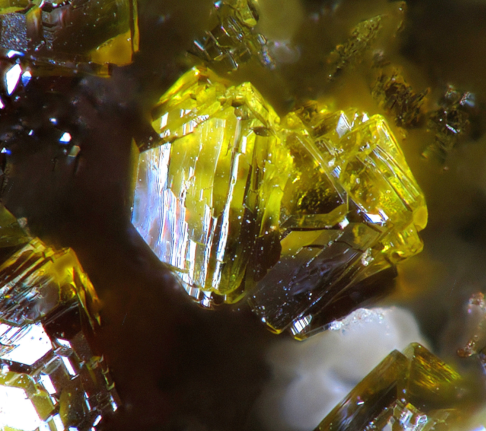 Cyrilovite
FOV 0,8 mm
(Autor: Firmo Espinar)
