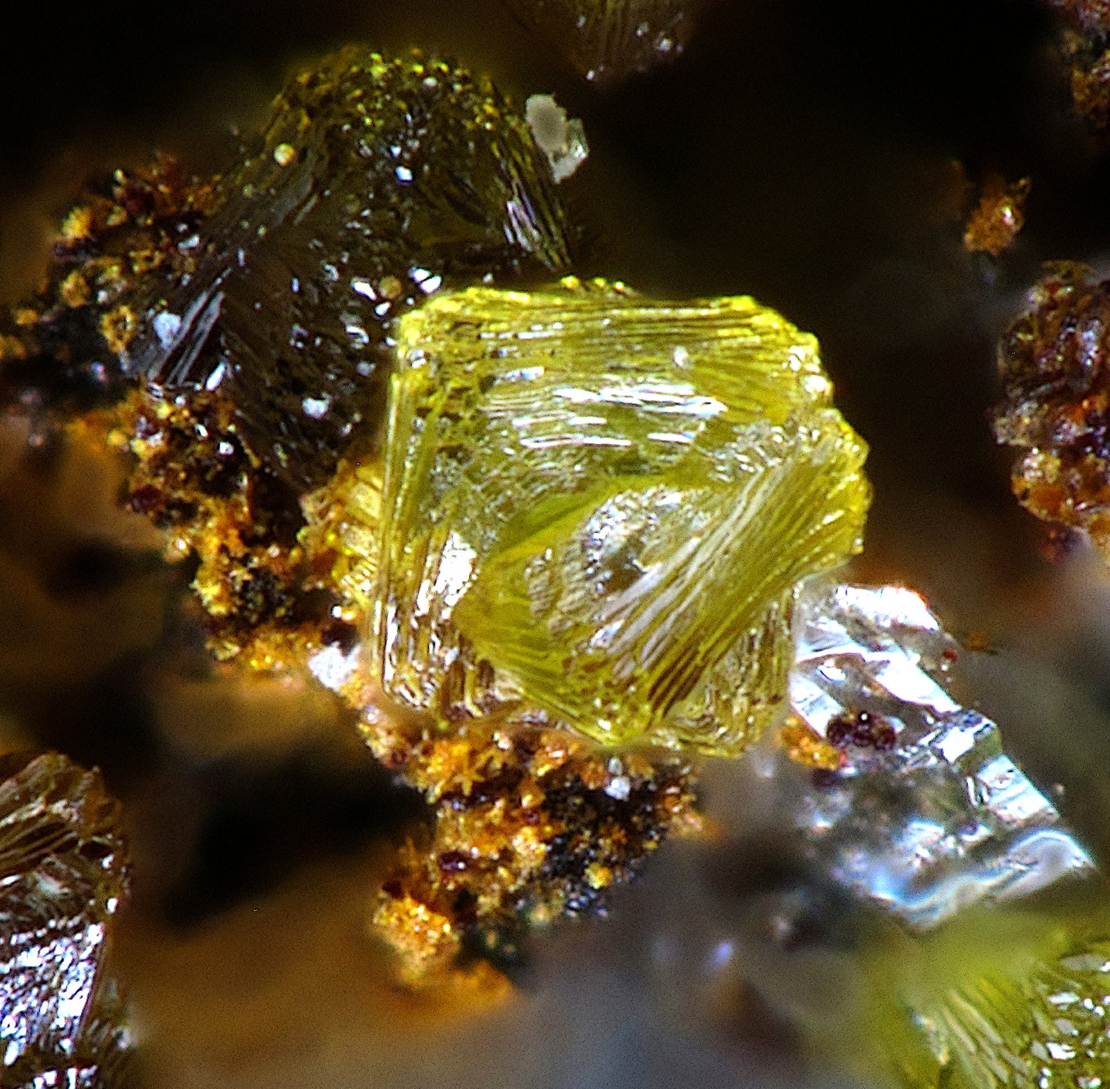 Cyrilovite
FOV 1 mm
(Autor: Firmo Espinar)