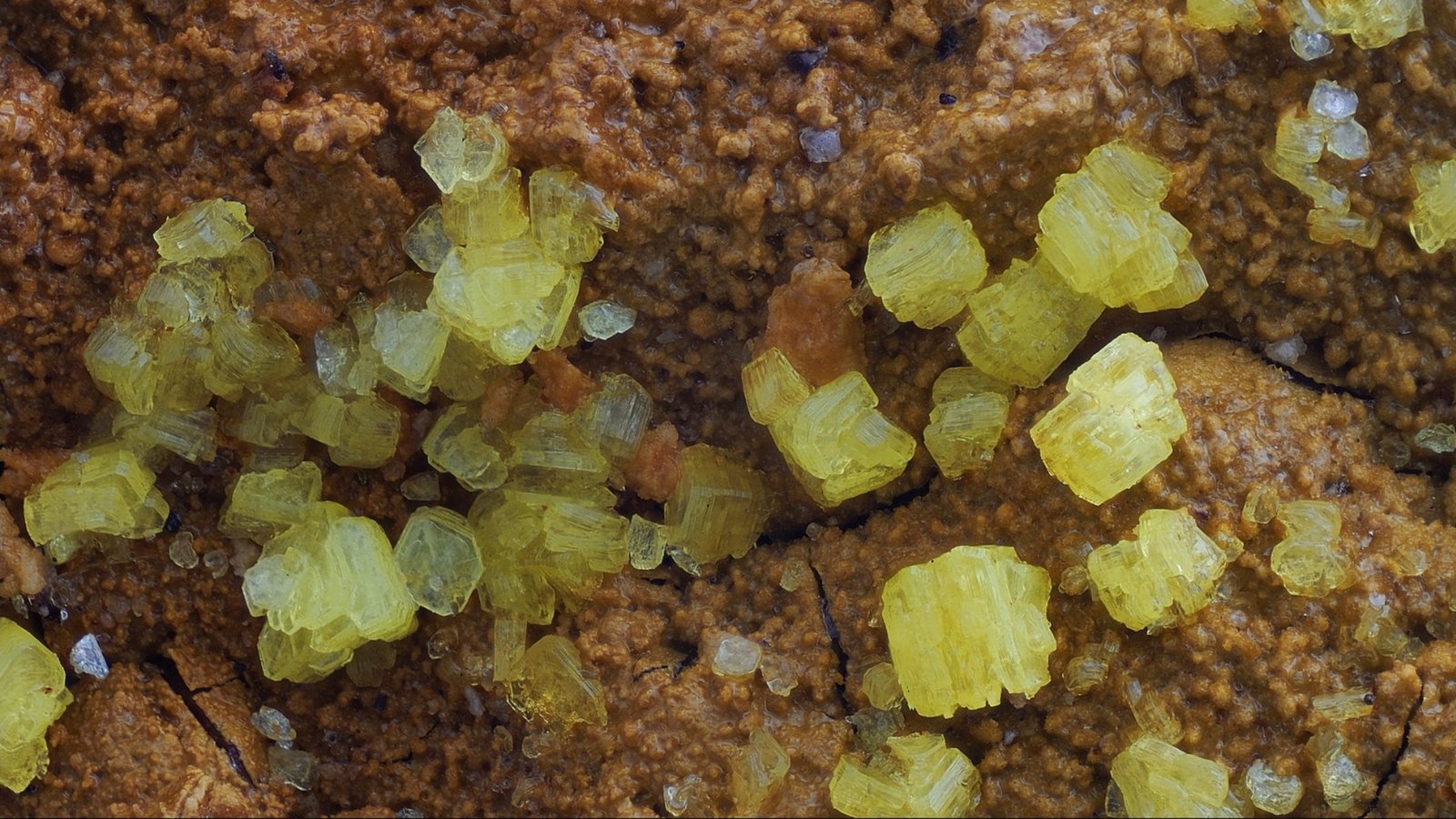 Autunite
FOV 5mm
(Autor: david916)