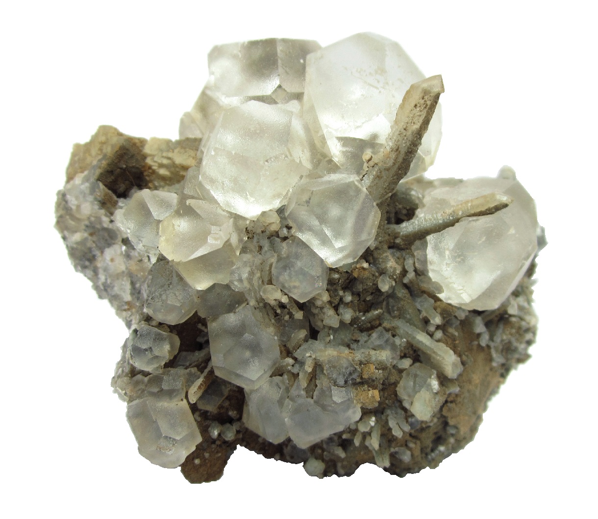 Fluorite with quartz
Specimen size 8 cm, largest fluorite 2 cm
(Autor: Tobi)