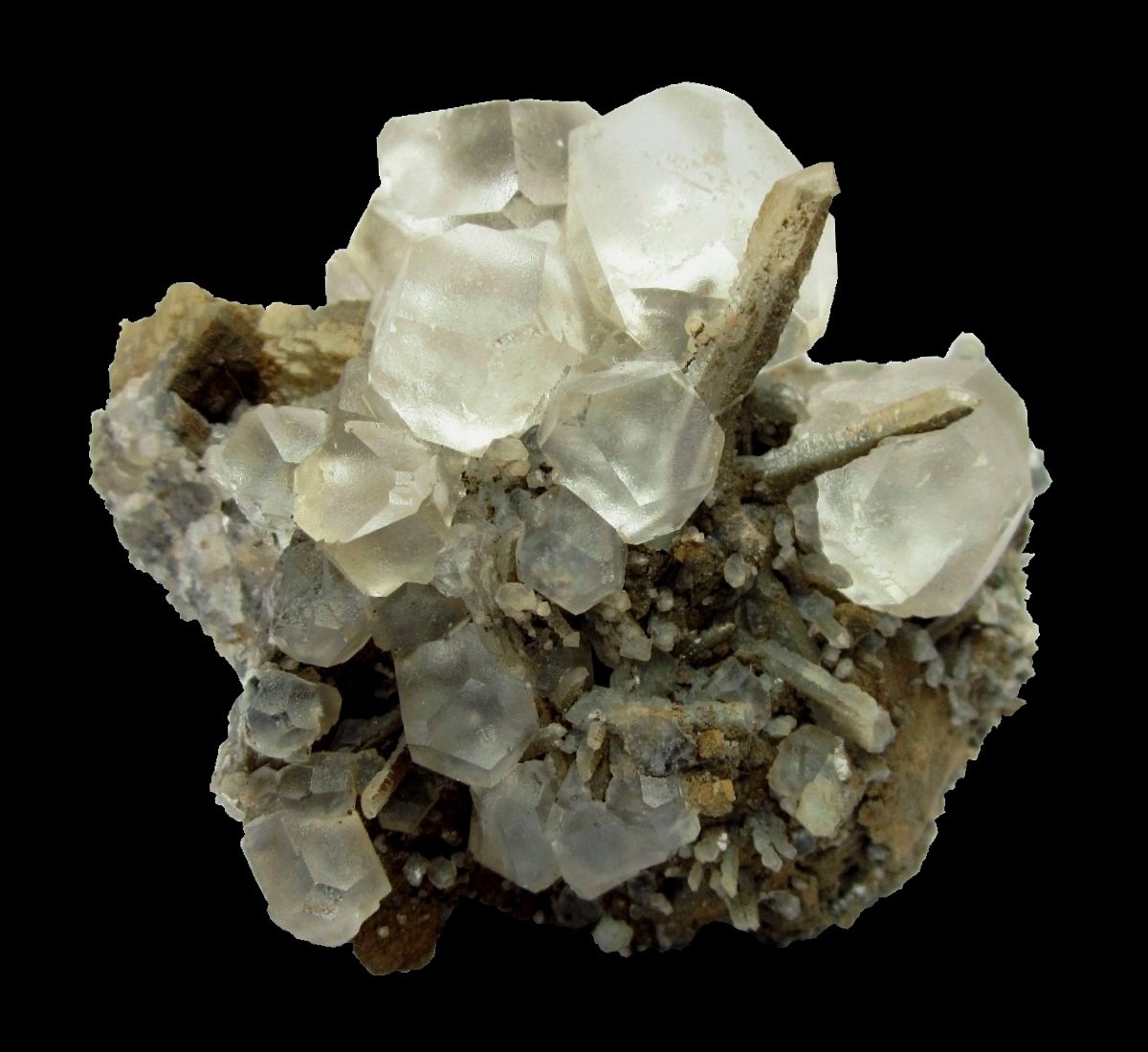 Fluorite, Quartz
Specimen size 8 cm, largest fluorite 2 cm
(Autor: Tobi)